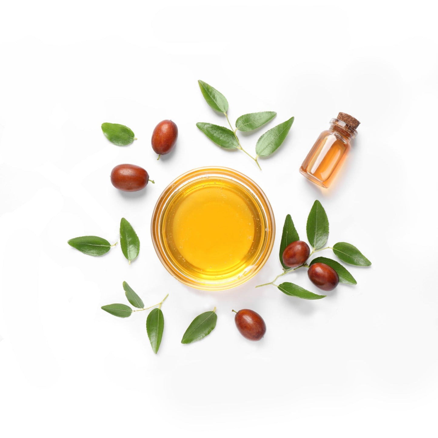 10-Oil Night Bloom Growth Elixir | Natural Hair Growth Oil for Thinning Hair | 125 ml