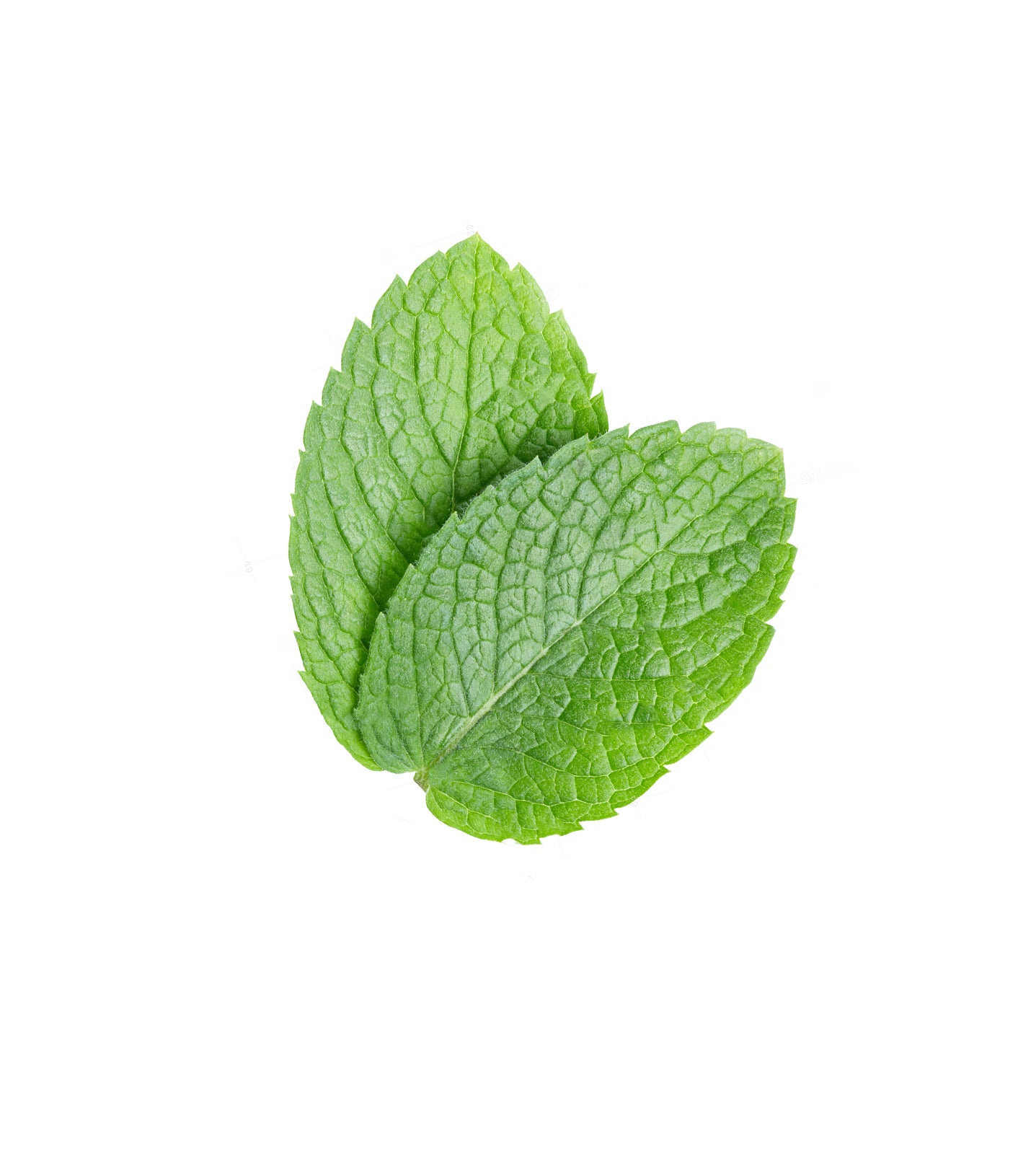 3 Ingredient Shampoo Bar - Pepper Minty (79g)