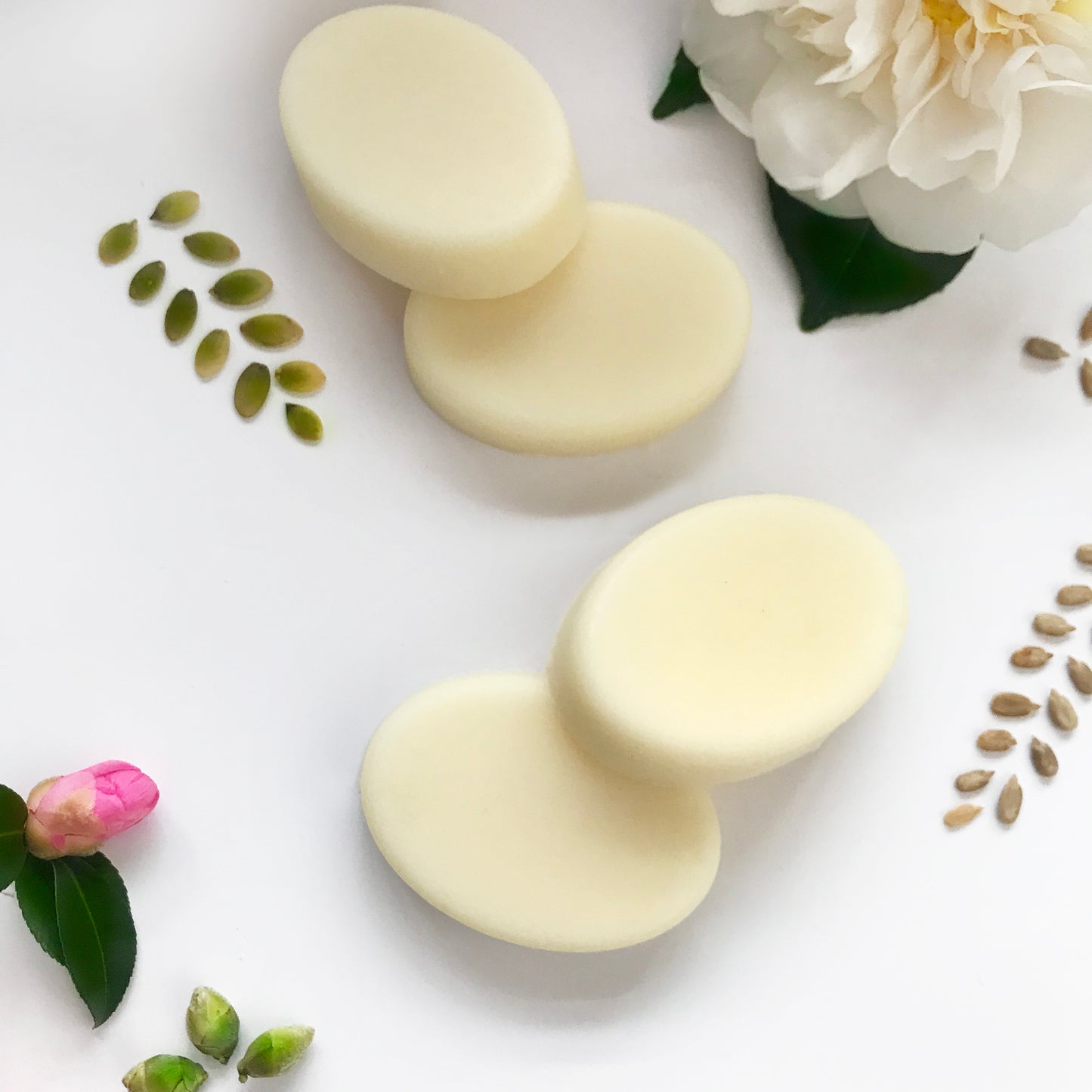 Lemon Myrtle Ginseng Conditioner Bar - MEDIUM