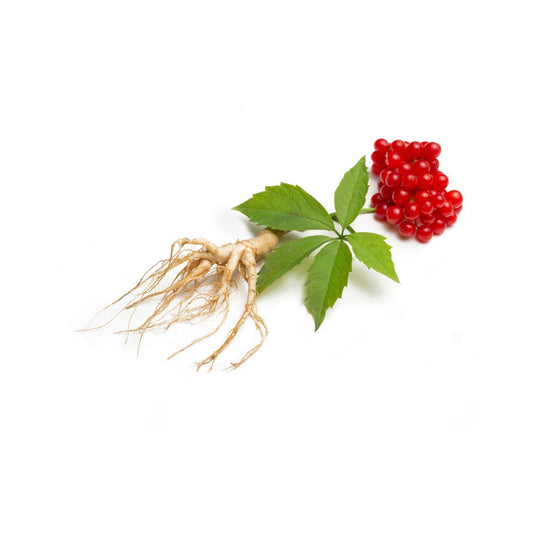 The Benefits of Ginseng for Hair: Topical Applications and More