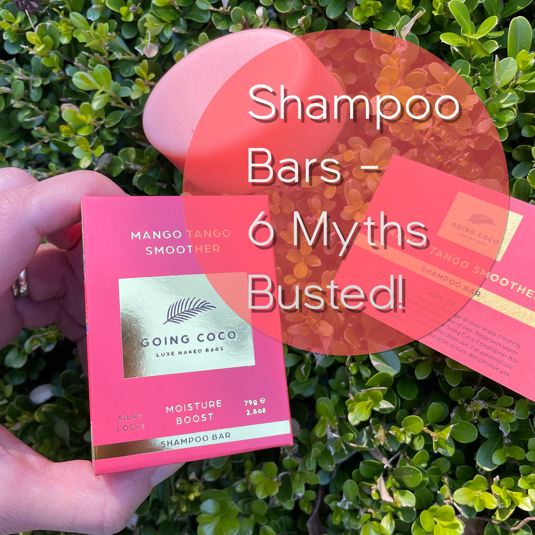 6 Myths About Shampoo Bars: Busted!