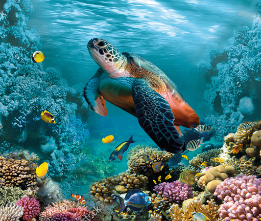 The Abundance of Plastic in the World and the Shift Towards Sustainable Consumerism